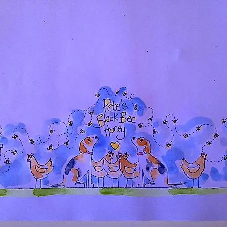 Lady Charlotte's Loft בית נופש